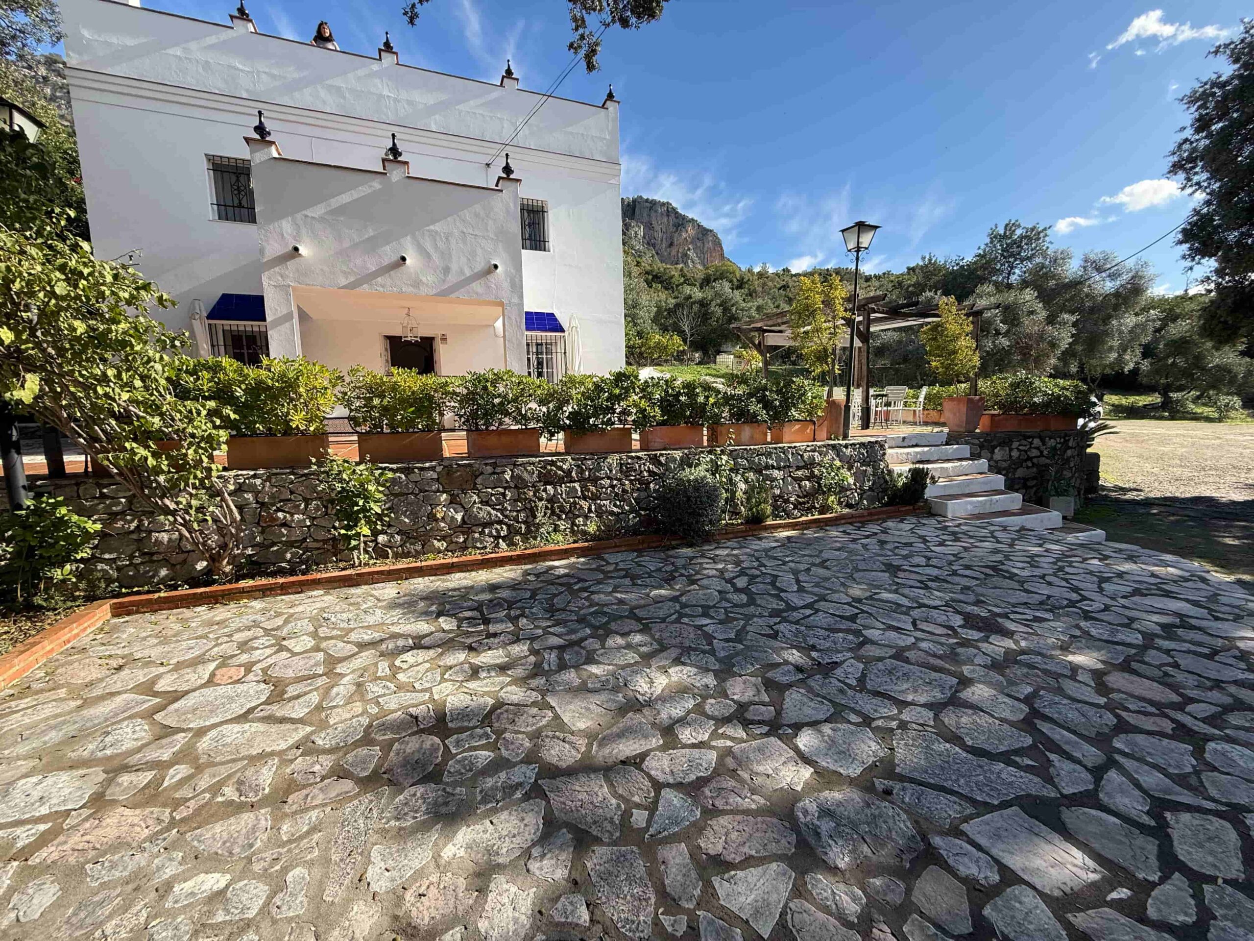 Espacio alternativo del cóctel